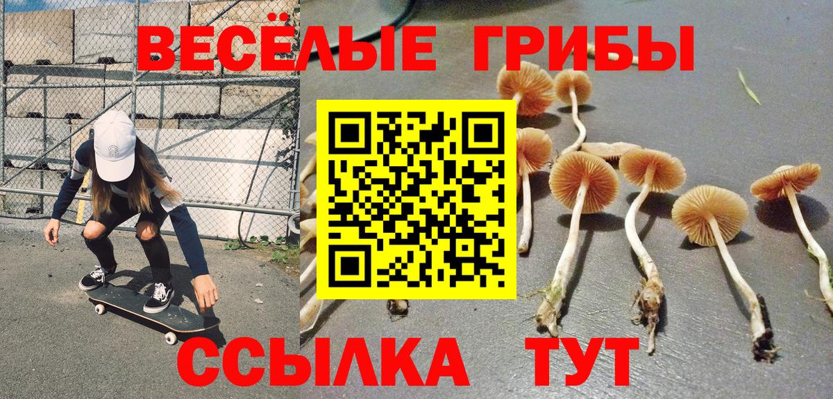 Псилоцибиновые грибы Magic Shrooms Россошь