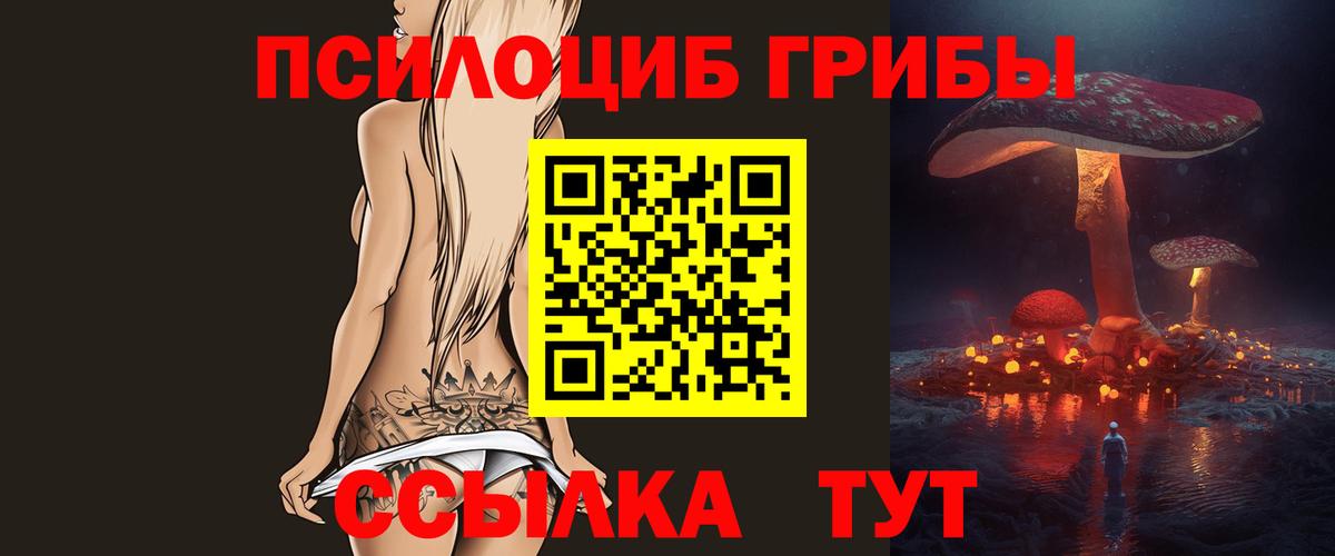 Псилоцибиновые грибы прущие грибы  Вход с VPN  Россошь 